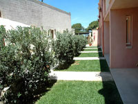 Hotel Masseria Bandino - Giardino